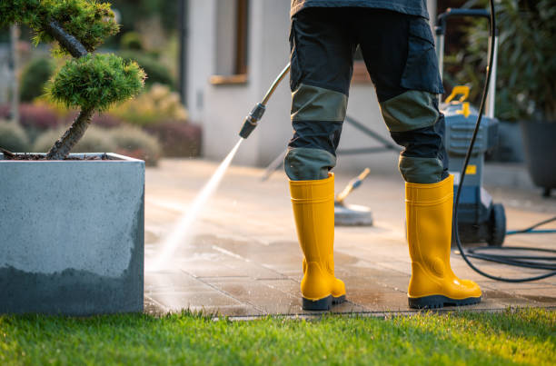 Best Affordable Power Washing  in Rankin, PA